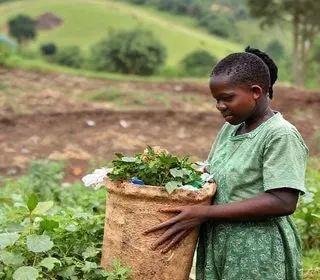 Reciclagem em Itabira