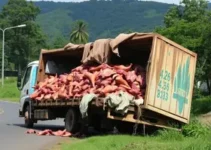 acidente com caminhão na MG-129