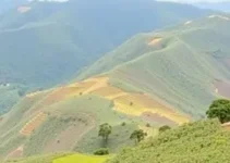 vagas de emprego em Itabira