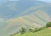 vagas de emprego