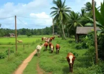 pecuária tropical