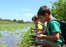 projeto educação ambiental
