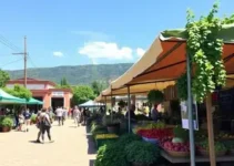 feira de produtores rurais