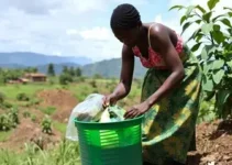 reciclagem em Itabira