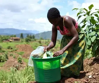 reciclagem em Itabira