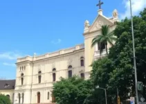 apuração ao vivo