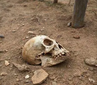 ossada humana