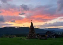 Natal Ypê