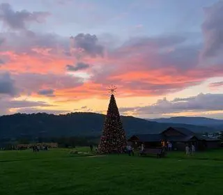 Natal Ypê