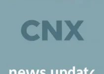 Boletim CNX 25 fevereiro 2026