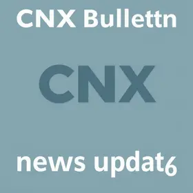 Boletim CNX 25 fevereiro 2026