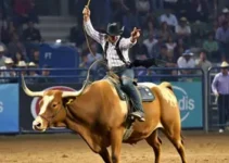 Dimas Gonçalves Neto campeão PBR Itajubá Rodeio Festival