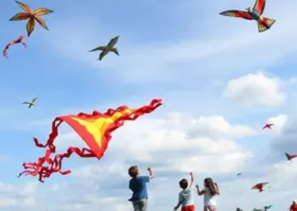 festival de pipas