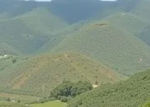 Prefeitura de Itajubá