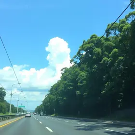 suspensão da Gardênia