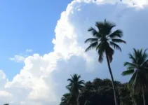 previsão do tempo em São Carlos