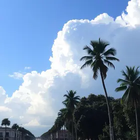 previsão do tempo em São Carlos