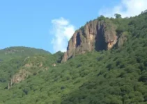 Zona de Autossalvamento