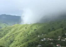 alerta amarelo