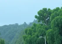 Alerta laranja Ouro Preto