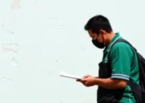 assistência social