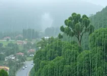Ouro Preto chuva alerta amarelo