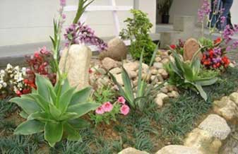 Renata Lemos Paisagismo - Foto 1