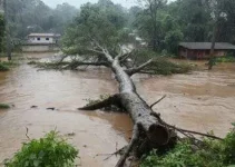 chuva em Passos