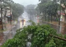 temporal em Minas Gerais
