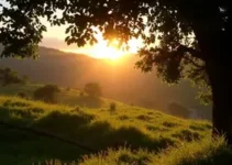 Bom Dia Cidade Sul de Minas