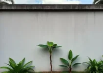 muro de 13 metros