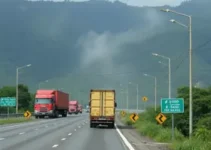 Carga cai na pista
