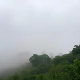 nevoeiro em Blumenau