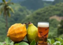 cervejas artesanais de Guarapuava