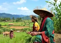 inclusão de povos indígenas na agricultura familiar